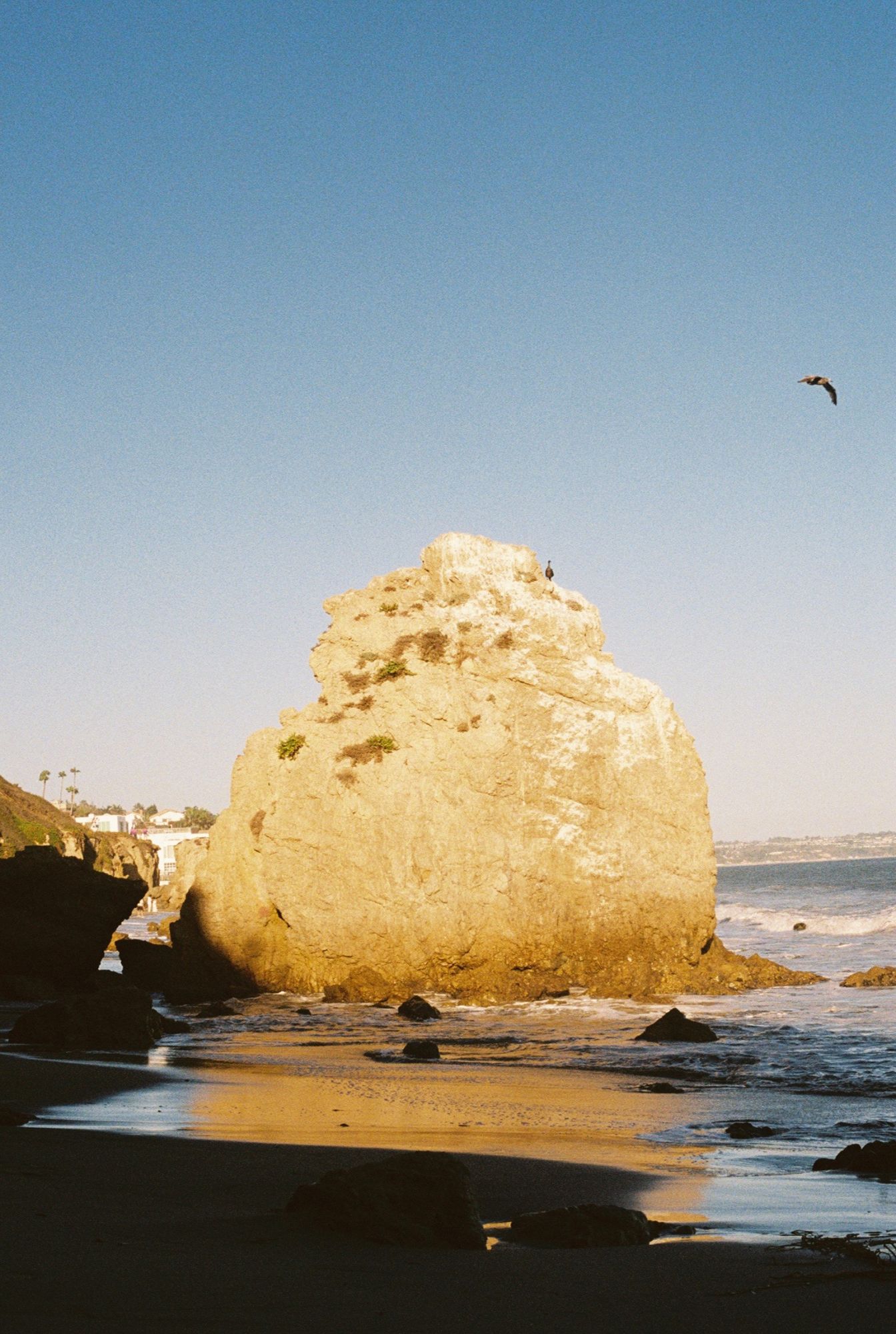 The sea stack at El Matador beach moments before Grace and Christian became engaged.